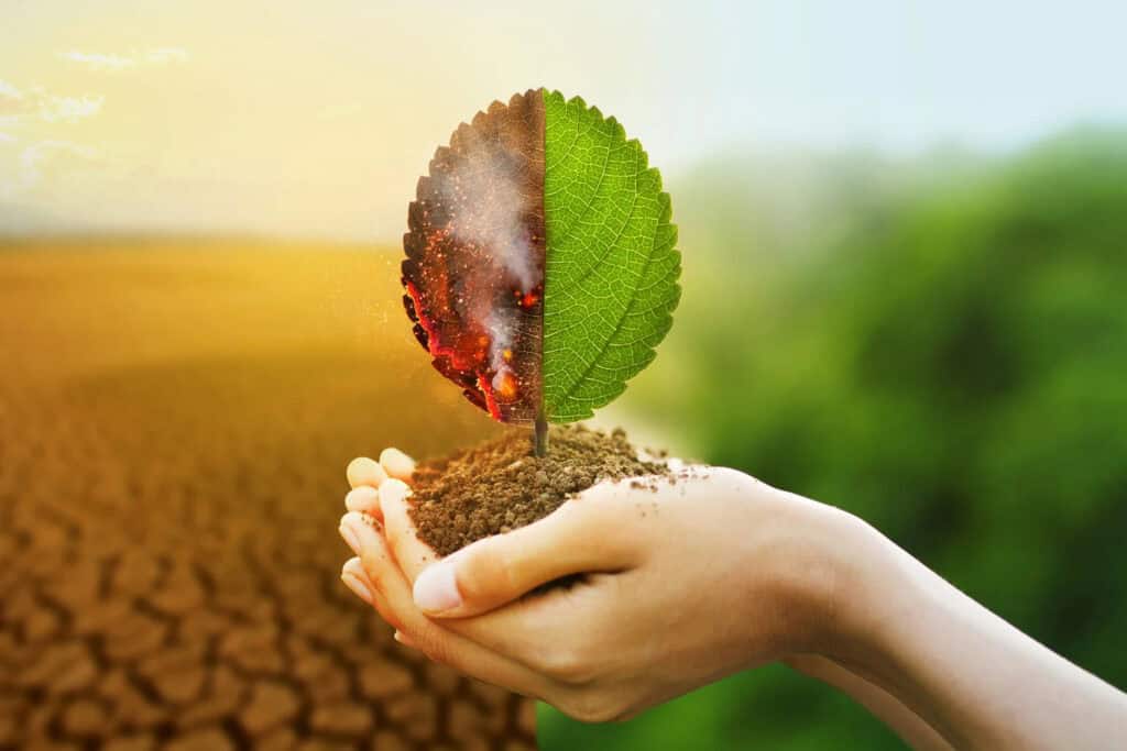 Instituto Ar - Imagem_Notícias_Qual é a relação entre desigualdade socioeconômica e a crise climática?_1